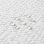 The Mattress Protector